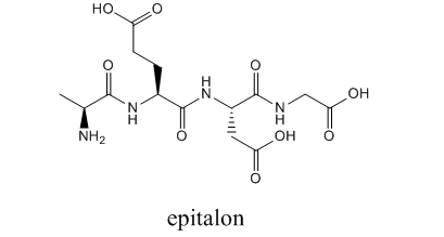 Epitalon Epitalon