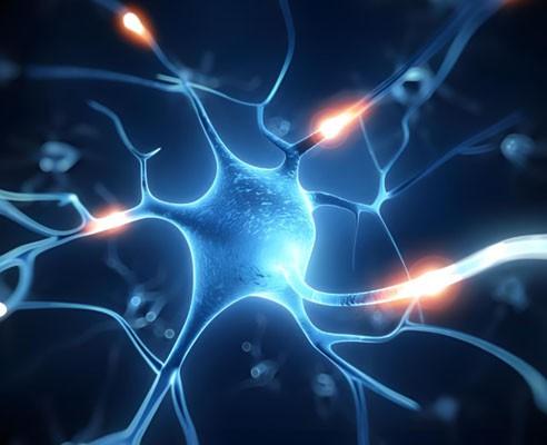 NAD+ peptide injection use | Shaanxi BLOOM Tech Co., Ltd NAD+ peptide injection use | Shaanxi BLOOM Tech Co., Ltd