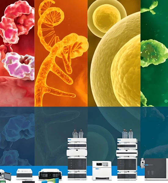 SLU-PP-332 Tablets use | Shaanxi BLOOM Tech Co., Ltd SLU-PP-332 Tablets use | Shaanxi BLOOM Tech Co., Ltd