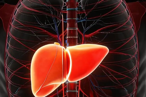 Bioglutide buy | Shaanxi BLOOM Tech Co., Ltd Bioglutide buy | Shaanxi BLOOM Tech Co., Ltd