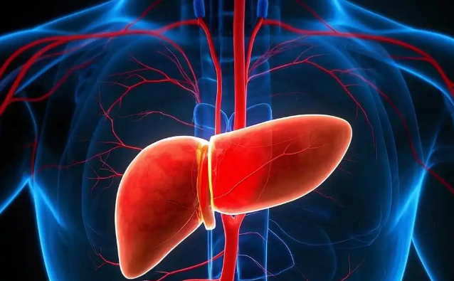 Bioglutide online | Shaanxi BLOOM Tech Co., Ltd Bioglutide online | Shaanxi BLOOM Tech Co., Ltd