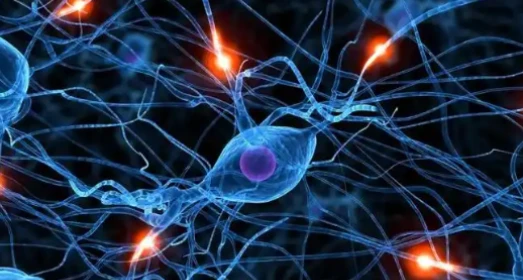 Bioglutide online | Shaanxi BLOOM Tech Co., Ltd Bioglutide online | Shaanxi BLOOM Tech Co., Ltd
